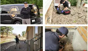 a photo collage of 4 pest professionals, find the right exterminator
