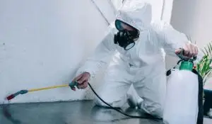 an exterminator wearing PPE
