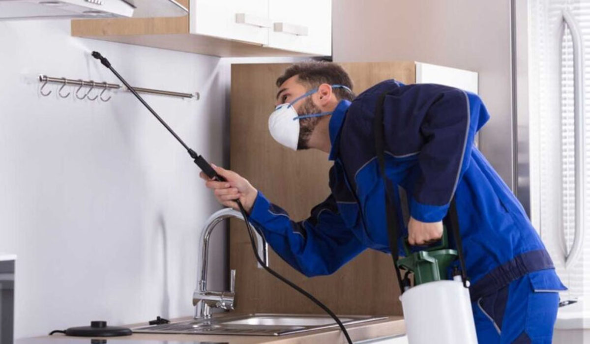 a pest control professional exterminating pests at a kitchen area